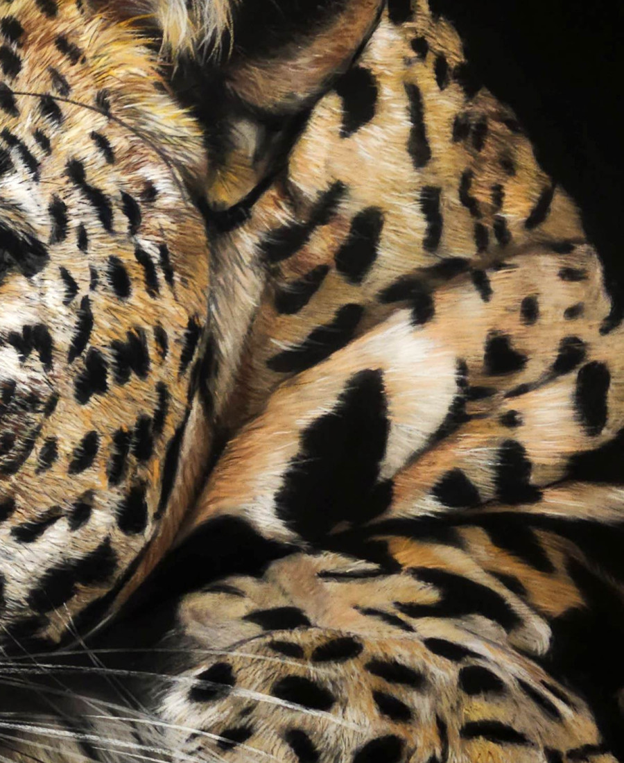 Detail 3 of Just waiting by Deimante Bruzguliene