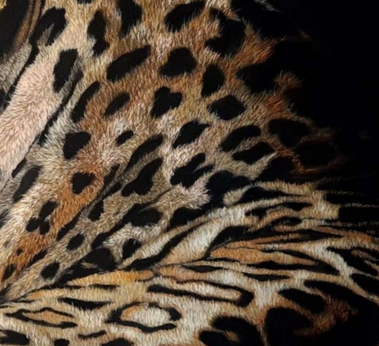 Coat & pastel texture of Leopard by Deimante Bruzguliene